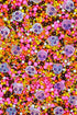 Sprinkle Confetti Calaverita Kawai