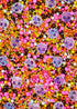 Sprinkle Confetti Calaverita Kawai