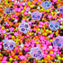 Sprinkle Confetti Calaverita Kawai