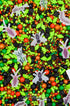 Sprinkle Confetti Cucaracho