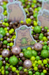 Sprinkle Confetti Capibara