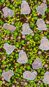 Sprinkle Confetti Capibara