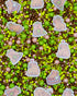 Sprinkle Confetti Capibara