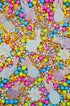 Sprinkle Confetti Rabbit Colors