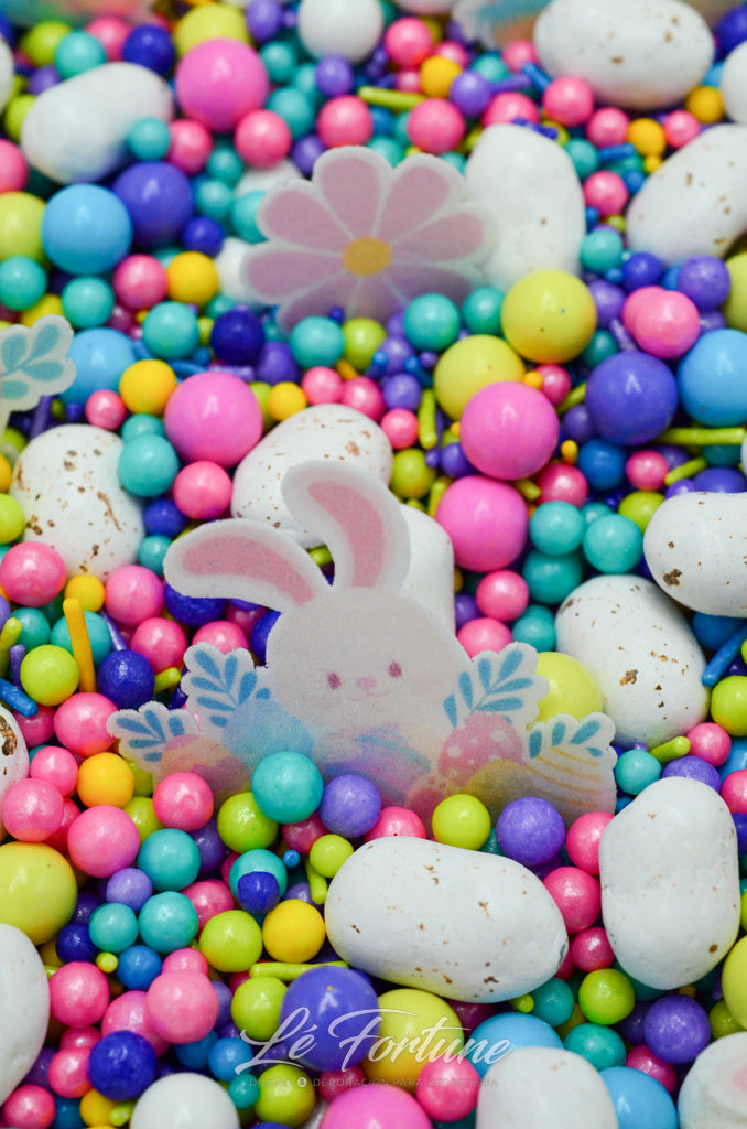 Sprinkle Confetti Caseria de Huevitos