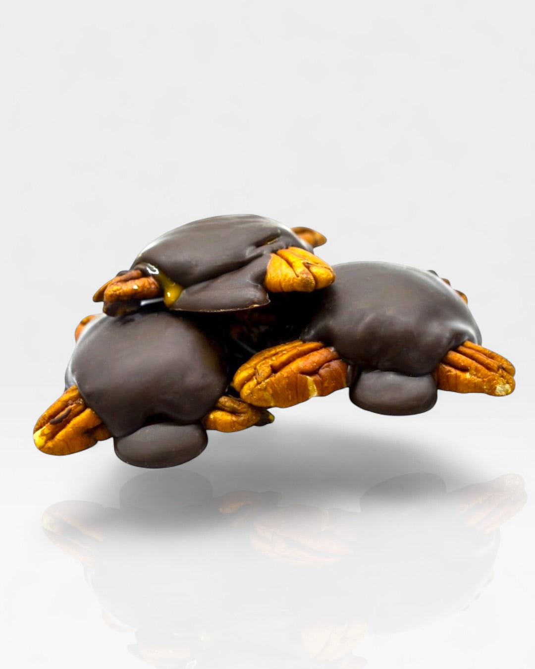 Tortuga de Nuez