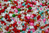 Sprinkle Deluxe Sweet Christmas