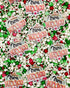 Sprinkle Confetti Viva México Frases