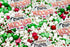 Sprinkle Confetti Viva México Frases